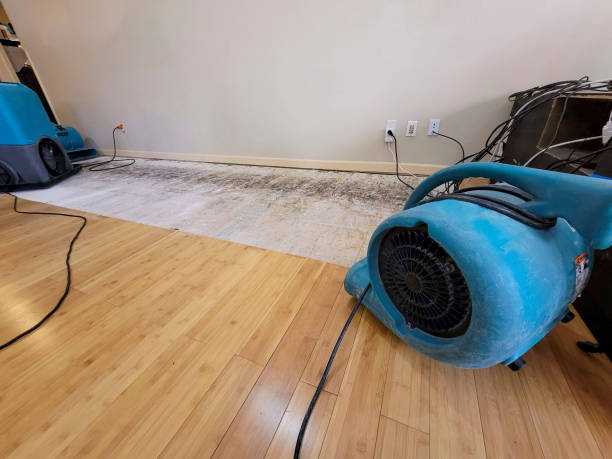 Professional Water Extraction technician working in West Barnstable, MA